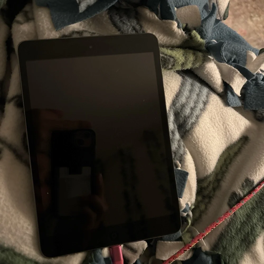Apple ipad